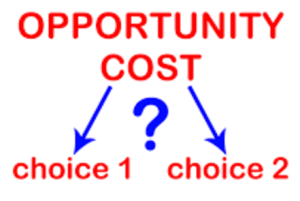 Opportunity cost